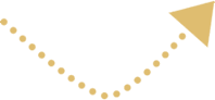 Layer 29 Layer 29
